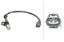 Picture of Hella Engine Crankshaft Position Sensor - 013122761