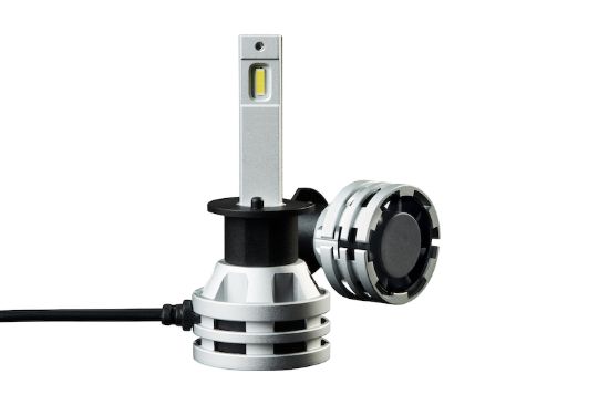 Picture of Hella Fog Light Bulb - 226971501