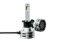 Picture of Hella Fog Light Bulb - 226971501