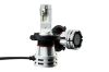 Picture of Hella Fog Light Bulb - 226971521