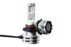 Picture of Hella Fog Light Bulb - 226971561