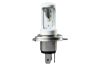 Picture of Hella Fog Light Bulb - 226971581