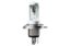 Picture of Hella Fog Light Bulb - 226971581