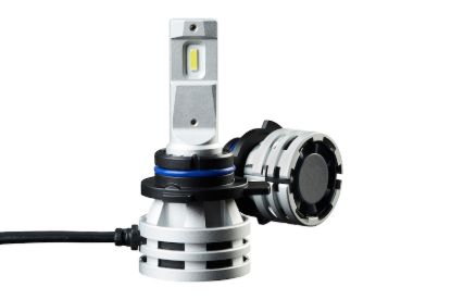 Picture of Hella Fog Light Bulb - 226971571