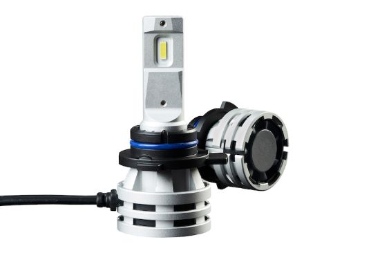 Picture of Hella Fog Light Bulb - 226971571