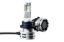 Picture of Hella Fog Light Bulb - 226971571