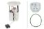 Picture of Hella Fuel Pump and Sender Assembly - 358302341