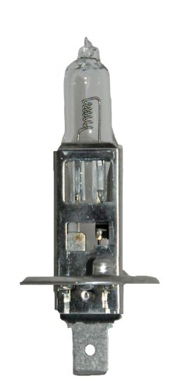 Picture of Hella Multi-Purpose Light Bulb - H1 24V DP