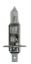 Picture of Hella Multi-Purpose Light Bulb - H1 24V DP