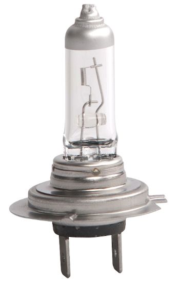 Picture of Hella Multi-Purpose Light Bulb - H7 24V DP