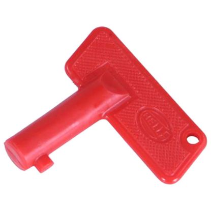 Picture of Hella Vehicle Key - H84960021