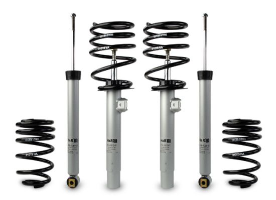 Picture of H&R Special Springs LP Coil Spring Lowering Kit / Shock Absorber Kit - 31019-1