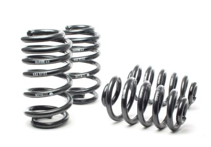Picture of H&R Special Springs LP Coil Spring Lowering Kit - 50310