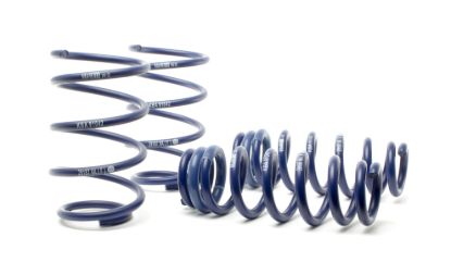 Picture of H&R Special Springs LP Coil Spring Lowering Kit - 50402-55