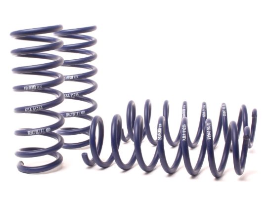 Picture of H&R Special Springs LP Coil Spring Lowering Kit - 50470