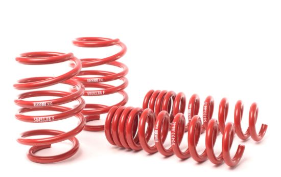 Picture of H&R Special Springs LP Coil Spring Lowering Kit - 50493-88