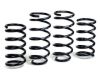 Picture of H&R Special Springs LP Suspension Lift Kit - 51602