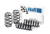 Picture of H&R Special Springs LP Coil Spring Lowering Kit - 51635