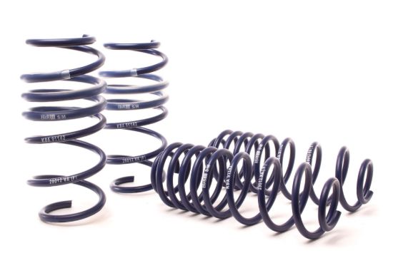 Picture of H&R Special Springs LP Coil Spring Lowering Kit - 51641