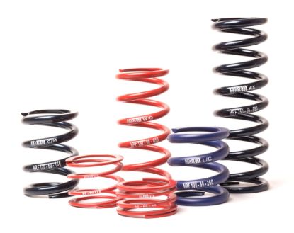 Picture of H&R Special Springs LP Coil Spring - RF120100