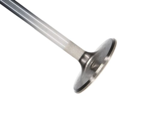 Picture of Manley Engine Exhaust Valve - 11843-8