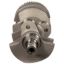 Picture of Manley Engine Crankshaft - 190858B