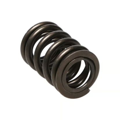 Picture of Manley Engine Valve Spring Kit - 22110-16