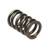 Picture of Manley Engine Valve Spring Kit - 22125-16