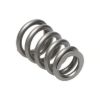 Picture of Manley Engine Valve Spring - 22135-1