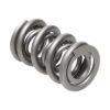 Picture of Manley Engine Valve Spring Kit - 221420-16
