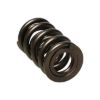 Picture of Manley Engine Valve Spring Kit - 221425-16