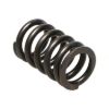 Picture of Manley Engine Valve Spring Kit - 22145-16