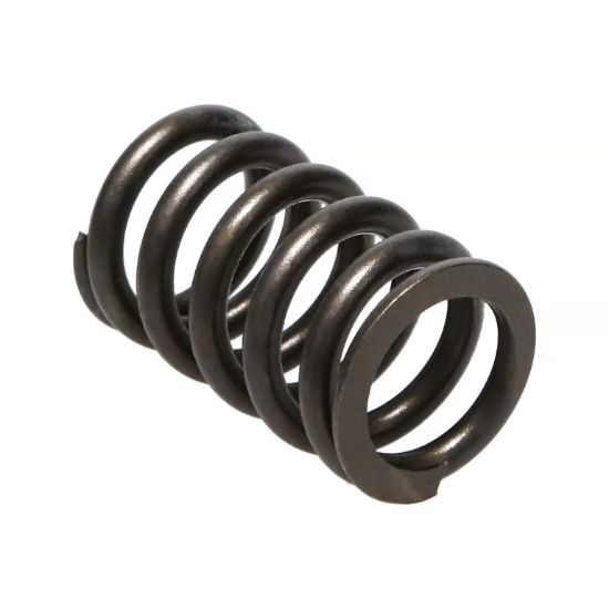 Picture of Manley Engine Valve Spring Kit - 22145-16