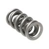 Picture of Manley Engine Valve Spring Kit - 221460-16