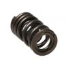 Picture of Manley Engine Valve Spring Kit - 22150-16