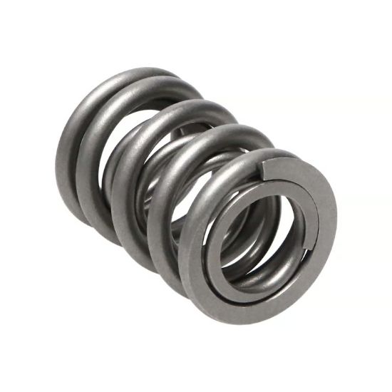 Picture of Manley Engine Valve Spring Kit - 22160-16