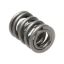 Picture of Manley Engine Valve Spring Kit - 22160-16