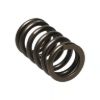 Picture of Manley Engine Valve Spring Kit - 22165-16