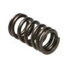 Picture of Manley Engine Valve Spring - 22170-1