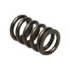 Picture of Manley Engine Valve Spring - 22175-1