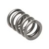 Picture of Manley Engine Valve Spring Kit - 22180-16