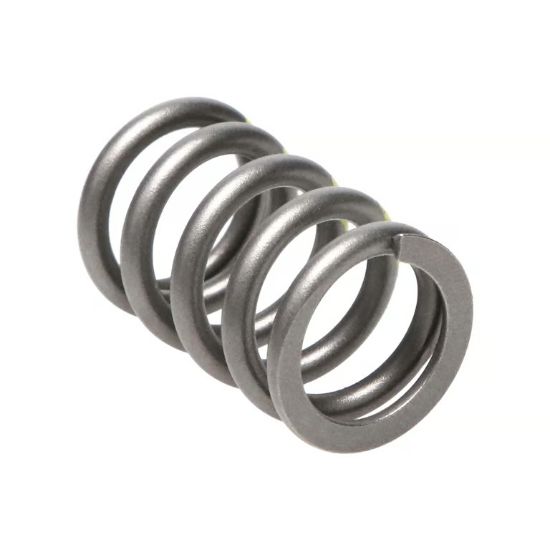 Picture of Manley Engine Valve Spring Kit - 22180-16