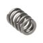 Picture of Manley Engine Valve Spring Kit - 22185-16