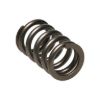Picture of Manley Engine Valve Spring - 22190-1