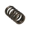 Picture of Manley Engine Valve Spring Kit - 22195-16