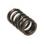 Picture of Manley Engine Valve Spring Kit - 22195-16