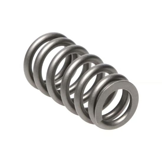 Picture of Manley Engine Valve Spring Kit - 22200-16