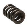 Picture of Manley Engine Valve Spring Kit - 22406-16