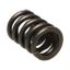 Picture of Manley Engine Valve Spring Kit - 22406-16