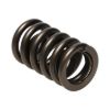 Picture of Manley Engine Valve Spring Kit - 22409-16